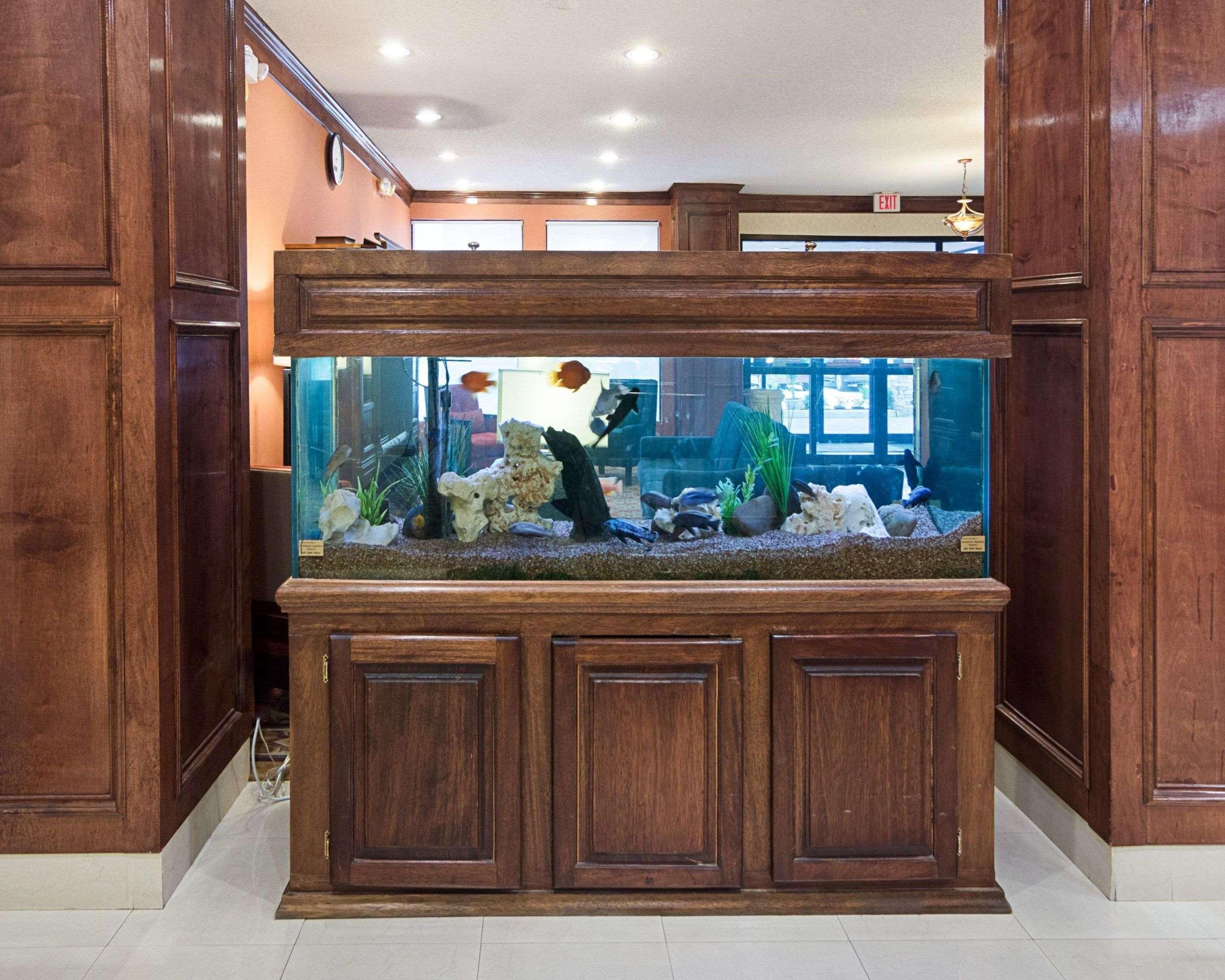 Comfort Inn & Suites Houston West-Katy Esterno foto